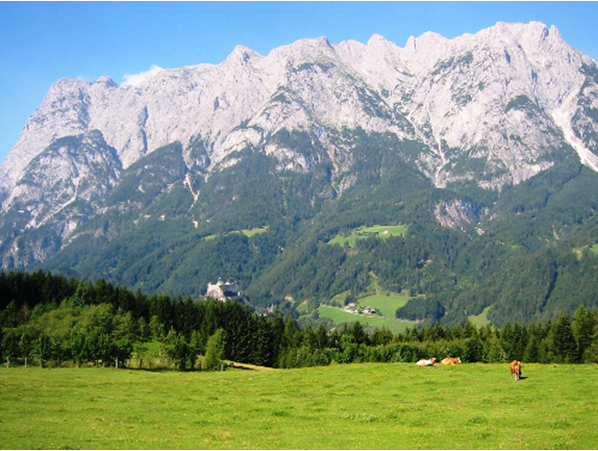 Tyrol VTT 4